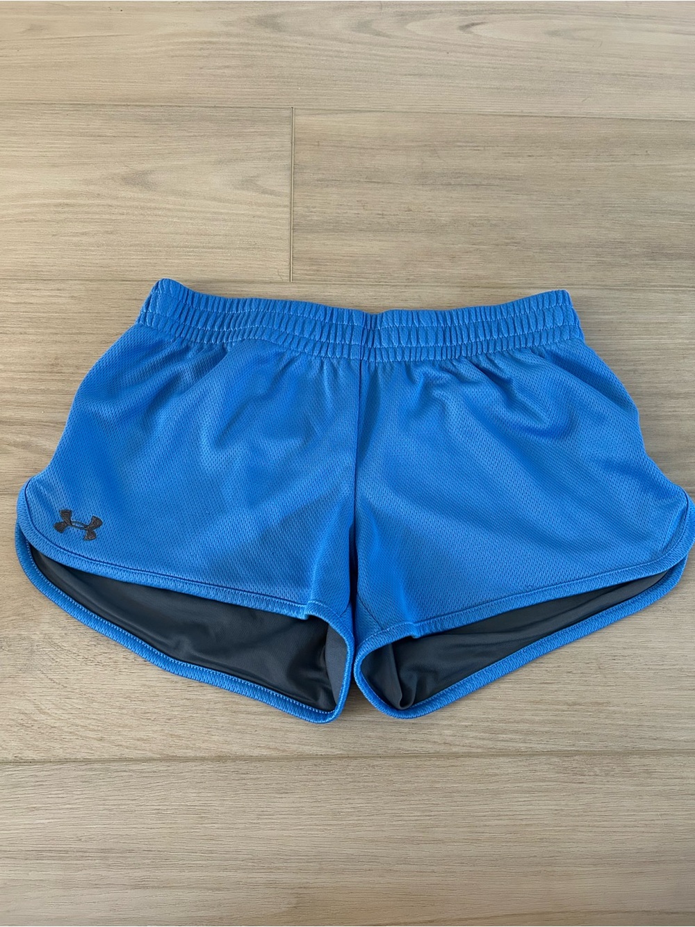 Under Armour Tech Play Up Mesh Blue Shorts